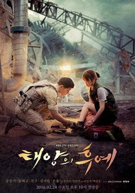 Descendants of the Sun (2016) image